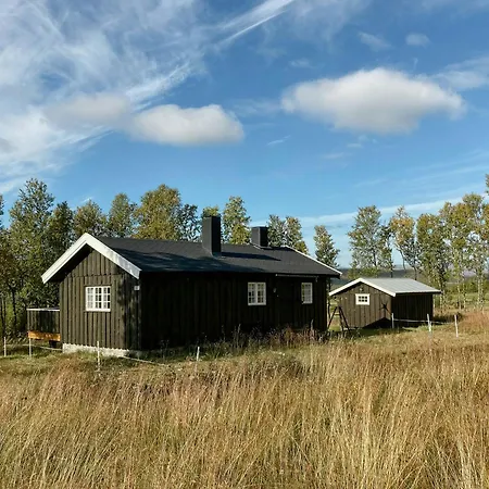 Simple Mountain Near Vinstra Graupe
